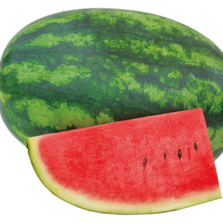 Sunny Belle SF-5516(2)